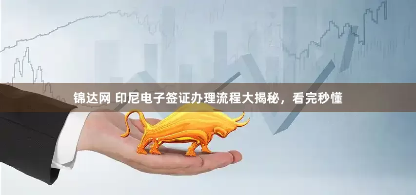 锦达网 印尼电子签证办理流程大揭秘，看完秒懂